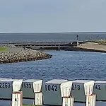 شقة 1-raum-apartment Seagull Seemoewe بوسم