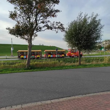 1-raum-apartment Seagull Seemoewe Appartement